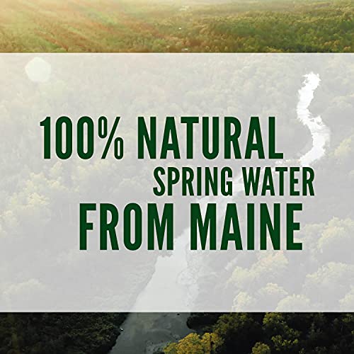Natural Spring Water, 24 Count