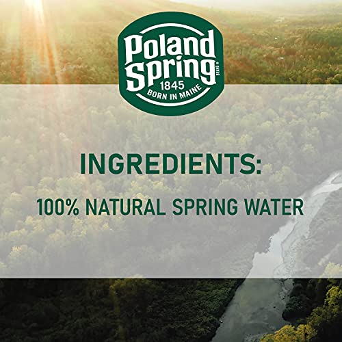 Poland Spring Brand 100% Natural Spring Water, 1-Gallon Plastic Jug Poland Spring Brand 100% Natural Spring Water, 1-Gallon Plastic Jug