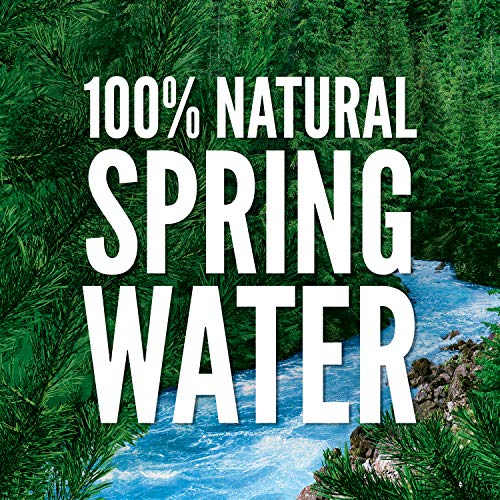 Poland Spring Spring Water - 33.8 Oz - 15 Ct