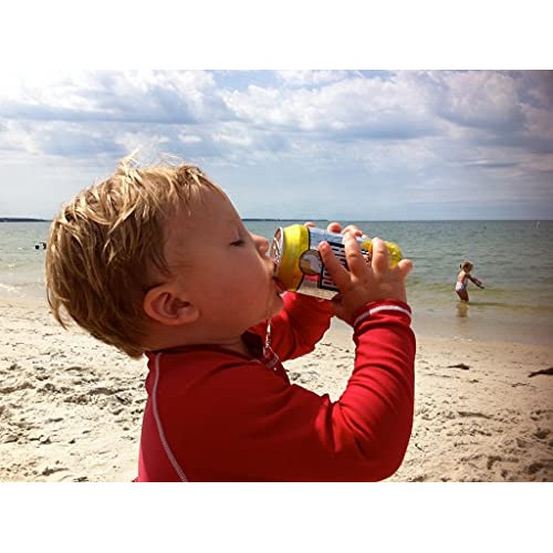 Polar Beverages All Flavor Variety Pack | Carbonated Flavored Sp...