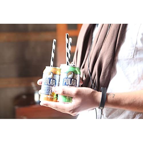 Polar Beverages All Flavor Variety Pack | Carbonated Flavored Sp...