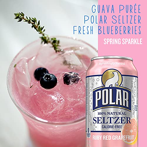 Polar Beverages All Flavor Variety Pack | Carbonated Flavored Sp...