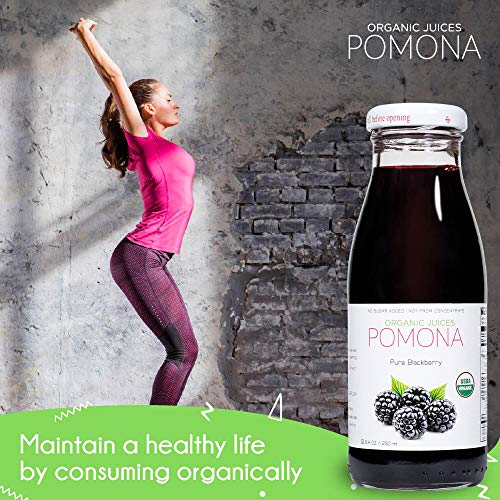 Pomona Organic Pure Blackberry Juice, 8.4 Ounce Bottle Pack Of