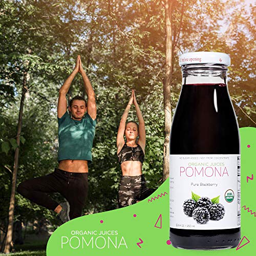 Pomona Organic Pure Blackberry Juice, 8.4 Ounce Bottle Pack Of