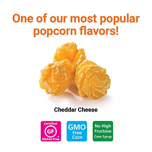Popcornopolis Gourmet Popcorn 1.26 Gallon Tin With Cheddar Popcorn
