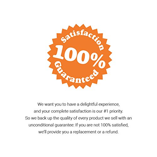 Popcornopolis Gourmet Popcorn Mini Cone Premium 24 Pack - Includ