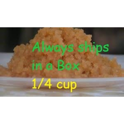 Poseymom Quality Water Kefir Grains Starter