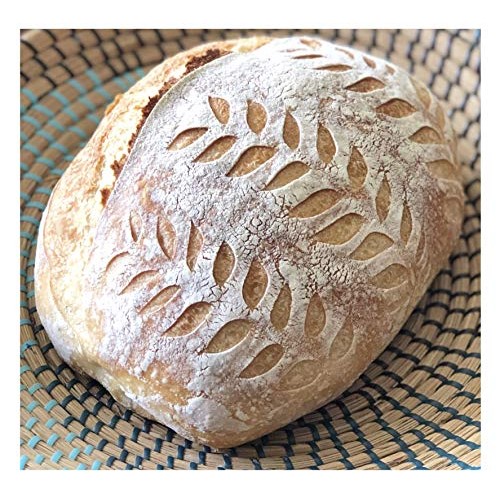 Italian Camaldoli Sourdough Starter Culture Bread Yeast Dehydrated