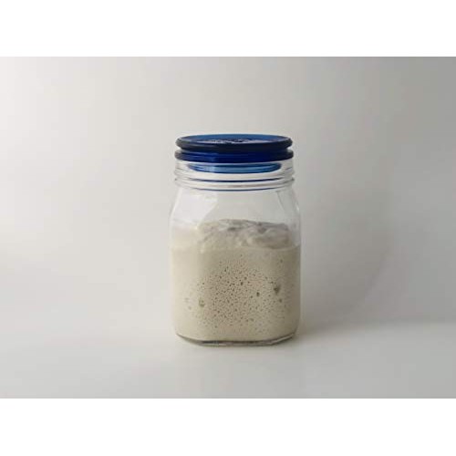 Organic Oat Gluten Free Sourdough Starter Culture Bread Yeast