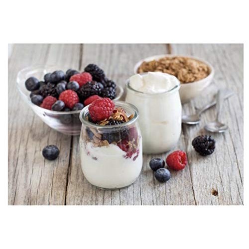 European Style Heirloom Thermophilic Yogurt Starter Culture