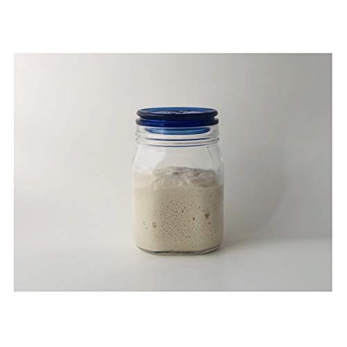 Gluten Free Sourdough Starter Culture Bread Yeast