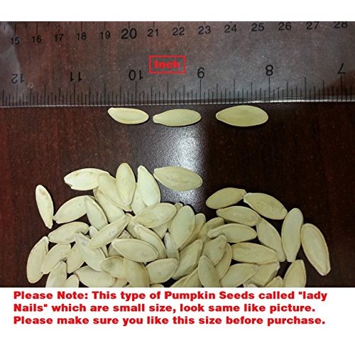 Grown Organically Organically Roasted Pumpkin Seeds In Shell,Sea