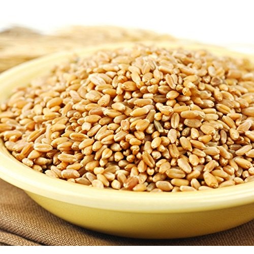 Wheat Montana Prairie Gold Hard White Spring Wheat Berries, 50 L
