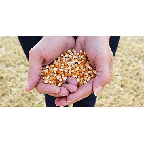 Preferred Popcorn Natural Microwave Popcorn, 36 Pack, Non-Gmo 10