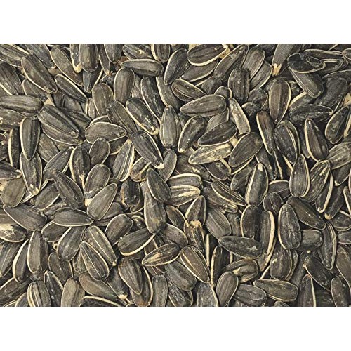 Jumbo Sunflower Seeds Oven Roasted With Sea Salt 1 Bag By Prem