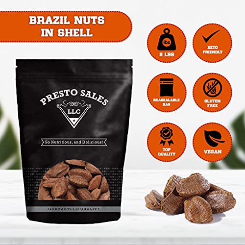 Brazil Nuts, In Shell Polished Large, Raw, Brazil Origin, Keto,