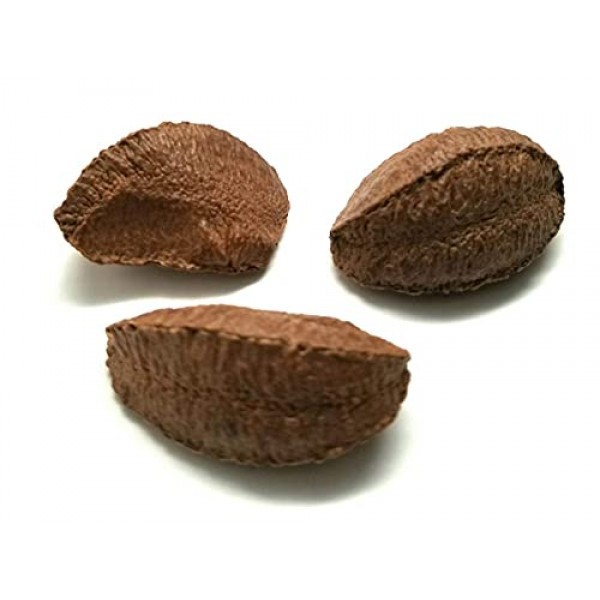 Brazil Nuts, In Shell Polished Large, Raw, Brazil Origin, Keto,