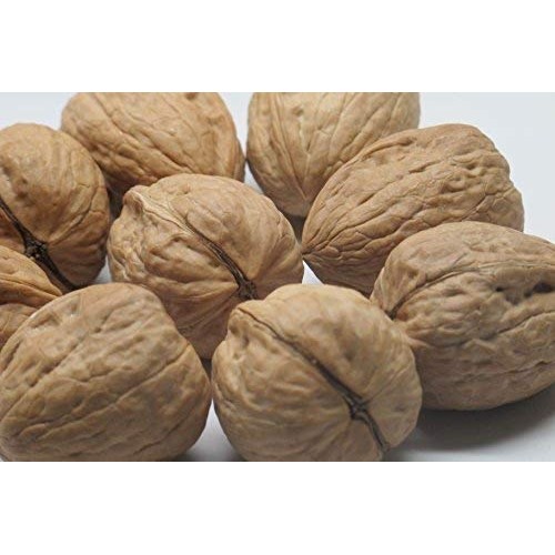 Walnuts, Current New Crop In Shell Hartley Choice, Low-Carb, H