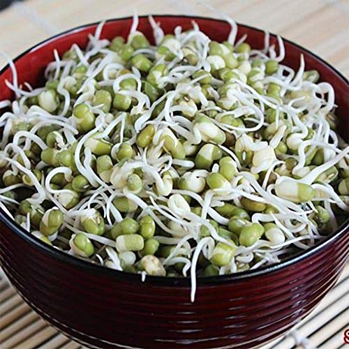 Whole Dried Organic Mung Beans Aka Green Gram Maash Moong