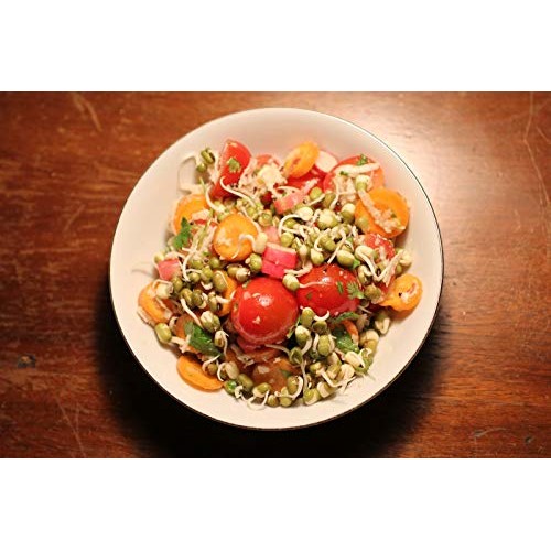 Whole Dried Organic Mung Beans Aka Green Gram Maash Moong