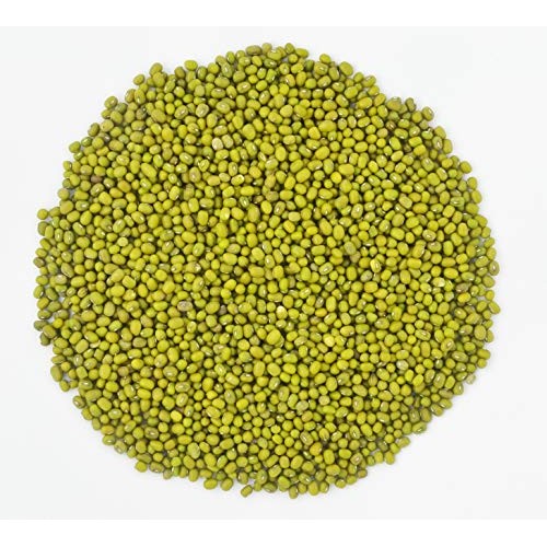 Whole Dried Organic Mung Beans Aka Green Gram Maash Moong