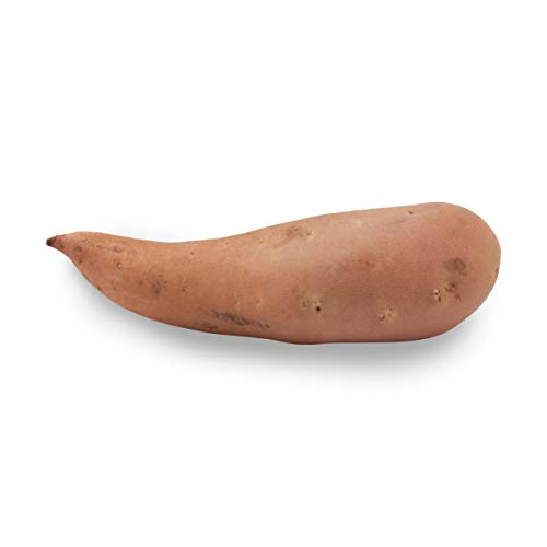 Potato Sweet Jewel Conventional, 1 Each