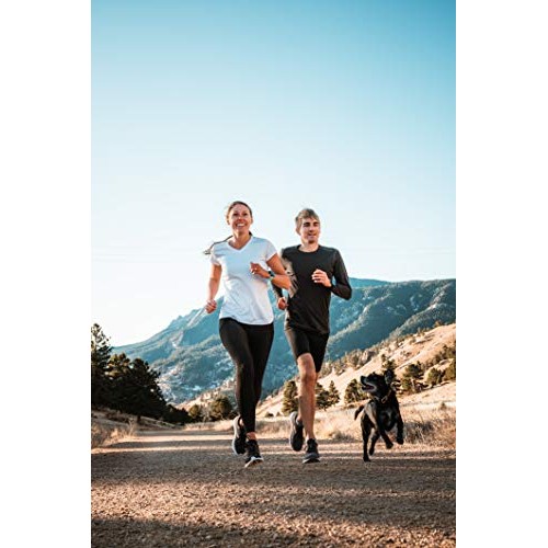 Promix Whey Protein Isolate Puff Bar, Snickerdoodle, 12 Count, 1