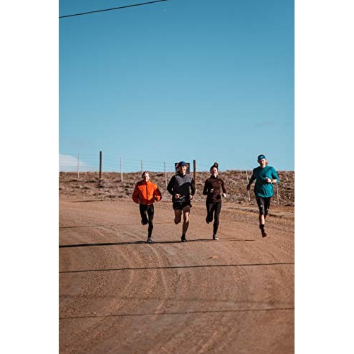 Promix Whey Protein Isolate Puff Bar, Snickerdoodle, 12 Count, 1