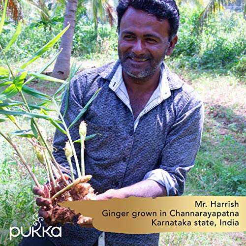 Pukka Herbs Support Selection Gift Box, Collection Of Organic He