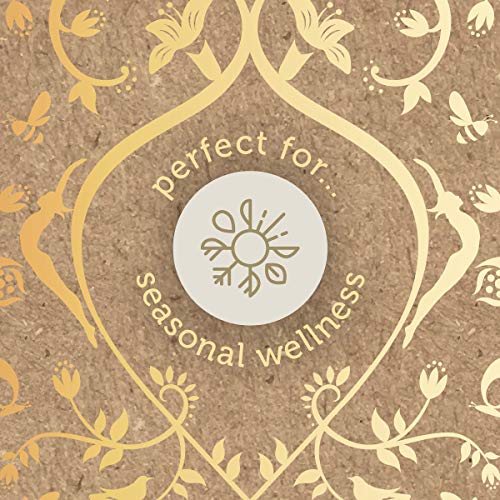 Pukka Herbs Support Selection Gift Box, Collection Of Organic He