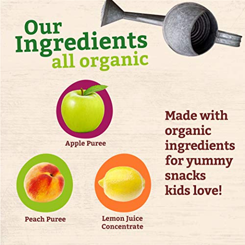 Peter Rabbit Organics Apple And Peach, Fruit Snack Squeeze Pouch