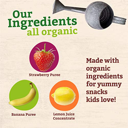 Peter Rabbit Organics Strawberry And Banana Pure Fruit Snack, 4