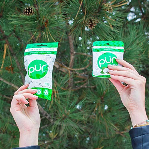 Pur 100% Xylitol Chewing Gum, Spearmint, Sugar-Free + Aspartame