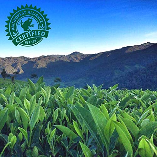 Pure Leaf Iced Tea, Sweetened, Real Brewed Tea, 64 Oz Bottle