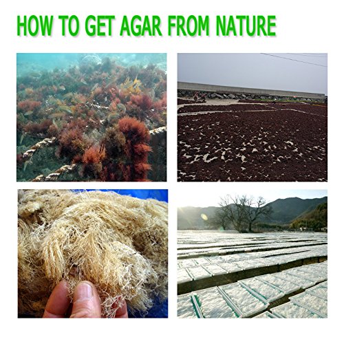 Agar Powder 100G3.53Oz Vegetable Gelatin Dietary Fiber