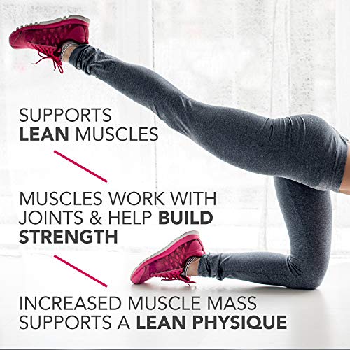 Pure Protein Bars, High Protein, Nutritious Snacks To Support En