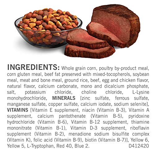 Purina Dog Chow Dry Dog Food, Complete Adult With Real Beef - 20