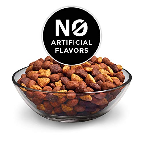 Purina Dog Chow Dry Dog Food, Complete Adult With Real Beef - 20