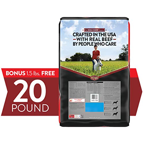 Purina Dog Chow Dry Dog Food, Complete Adult With Real Beef - 20