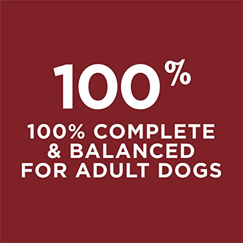 Purina Dog Chow Dry Dog Food, Complete Adult With Real Beef - 20