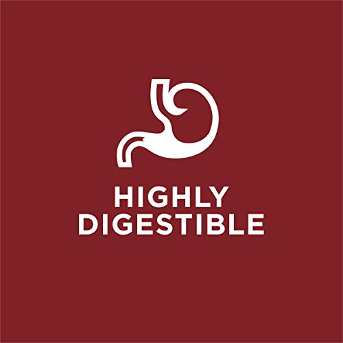 Purina Dog Chow Dry Dog Food, Complete Adult With Real Beef - 20