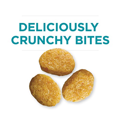 Purina One Urinary Tract Health Dry Cat Food, Urinary Tract Heal