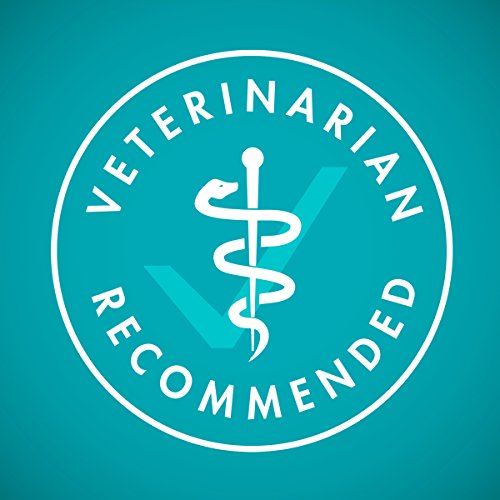 Purina One Urinary Tract Health Dry Cat Food, Urinary Tract Heal