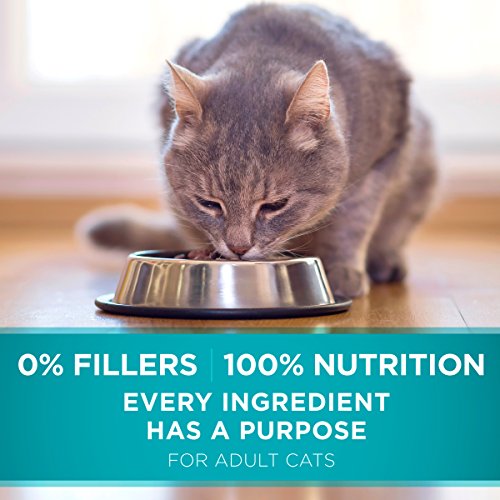 Purina One Urinary Tract Health Dry Cat Food, Urinary Tract Heal