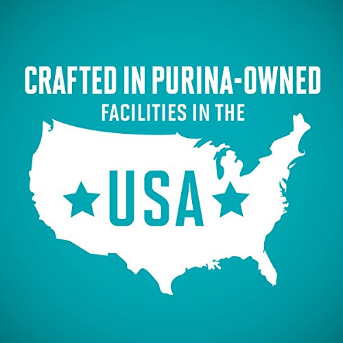 Purina One Urinary Tract Health Dry Cat Food, Urinary Tract Heal