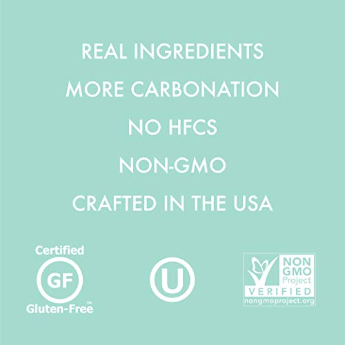 Q Mixers Elderflower Tonic Water, Premium Cocktail Mixer Made Wi