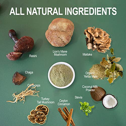 Mushroom Yerba Mate Latte, Includes Organic Yerba Mate Powder, R...