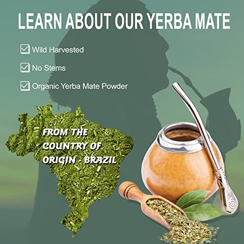 Mushroom Yerba Mate Latte, Includes Organic Yerba Mate Powder, R...