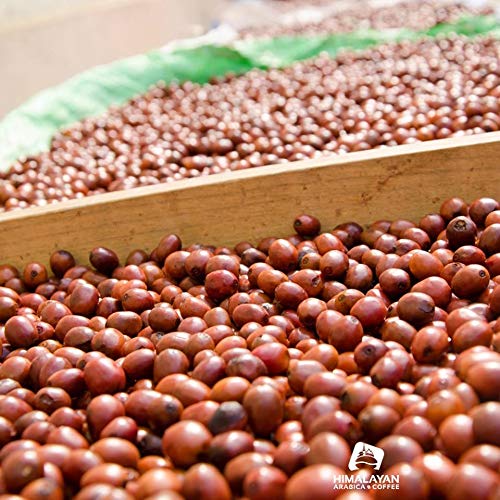 Himalayan Arabica Organic Medium Roasted Whole Beans Coffee Cupp