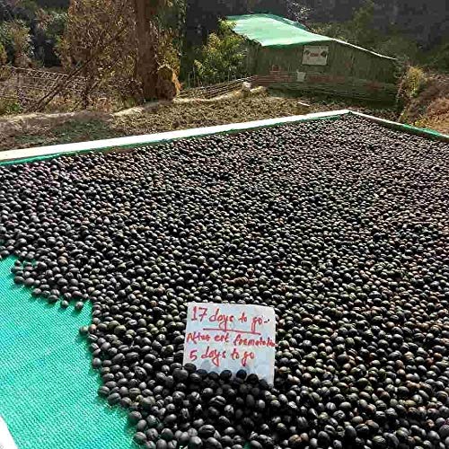 Himalayan Arabica Organic Medium Roasted Whole Beans Coffee Cupp